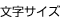 文字サイズ